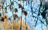  Kościół 