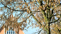  Kościół 